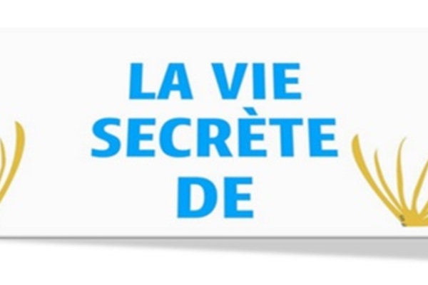 La cuisine transgressive d’un génie 